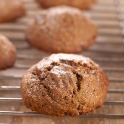 ginger-cookies
