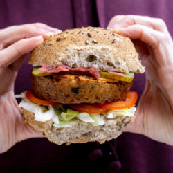 tempeh burger hand
