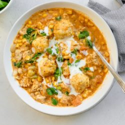 chicken dumplings (1)