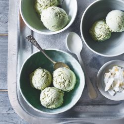 Matcha Coconut Ice Cream